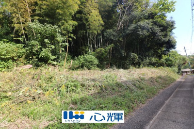 【外観】 | 西高泊・山林（720坪） | 撮影（2025年10月28日）