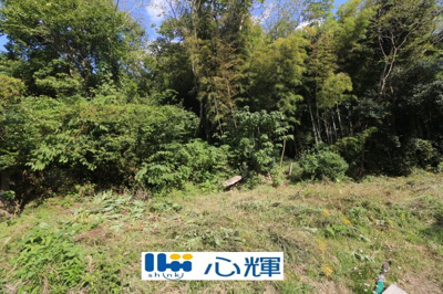 【外観】 | 西高泊・山林（720坪） | 撮影（2025年10月28日）