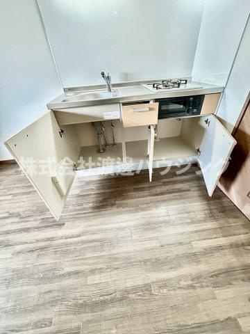 ラージヒル服部天神のキッチン|キッチン下収納