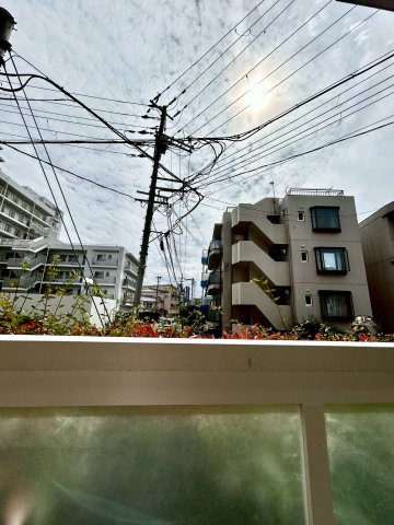 ハイムタケダT-10の展望