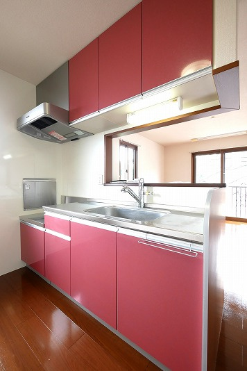 ラップ・ランドみずかみのキッチン|ラップランドみずかみ　102号  
