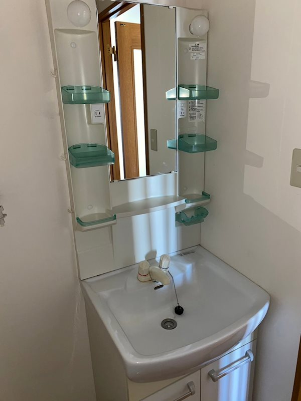 メゾンオクガワの洗面所