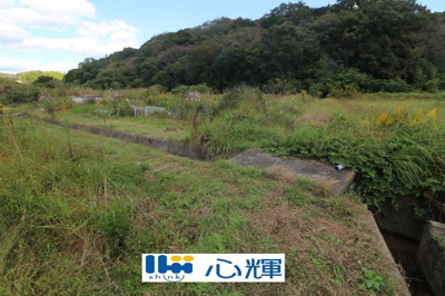 【外観】 | 西高泊・農地（田）（541坪） | 撮影（2025年10月28日）