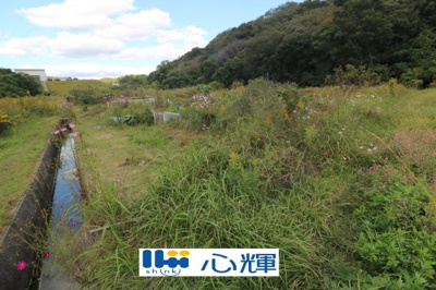 【外観】 | 西高泊・農地（田）（541坪） | 撮影（2025年10月28日）