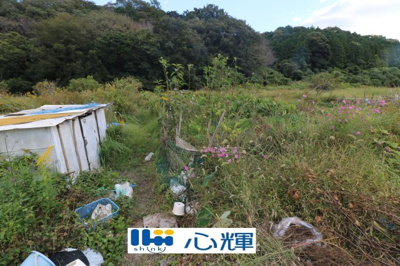 【外観】 | 西高泊・農地（田）（541坪） | 撮影（2025年10月28日）