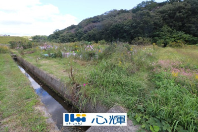 【外観】 | 西高泊・農地（田）（541坪） | 撮影（2025年10月28日）