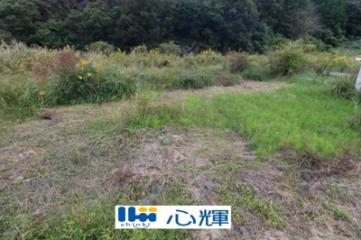 【外観】 | 西高泊・農地（田）（541坪） | 撮影（2025年10月28日）