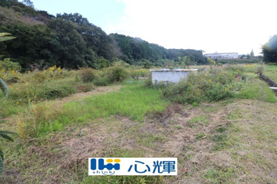 【外観】 | 西高泊・農地（田）（541坪） | 撮影（2025年10月28日）