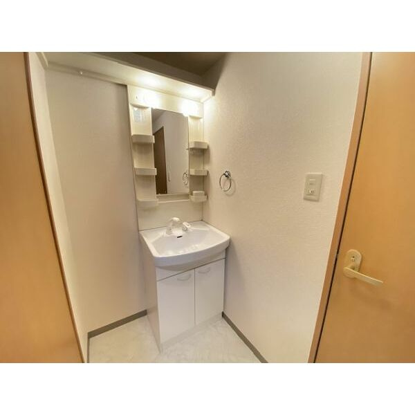 グリーンヒル矢高の洗面所