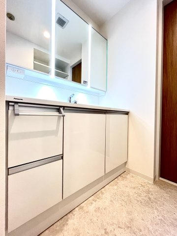 ディアステージ四条葛野大路の洗面所|洗面所です