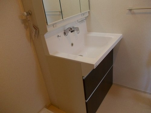 グランアウローラⅧの洗面所