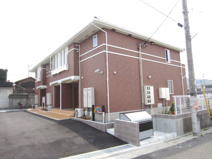 グラシアスの画像