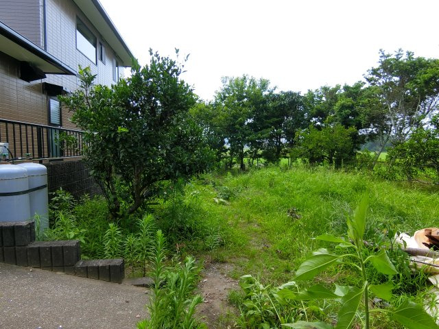 永田2007戸建ての庭|建物裏で家庭菜園できます！