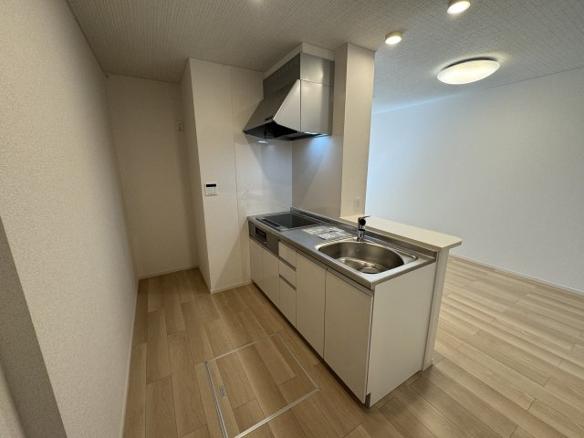 グランリーザⅠのキッチン|システムキッチン