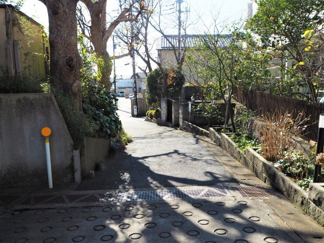 ヴァンヴェール鎌倉　1階　専用庭付きの周辺|緑豊かな環境です。