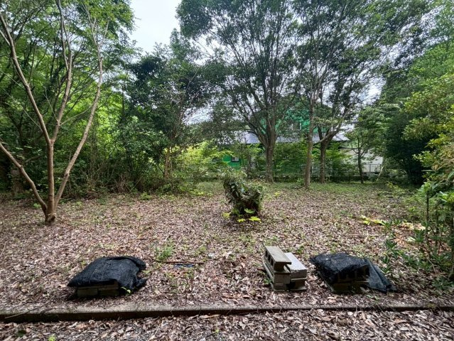 館山市正木　中古戸建の庭