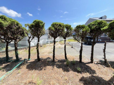 【庭】 | 冬築タウンB