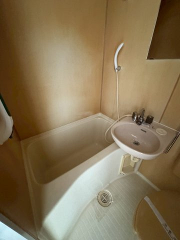 ドミール大田の浴室