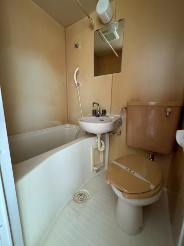 ドミール大田の浴室