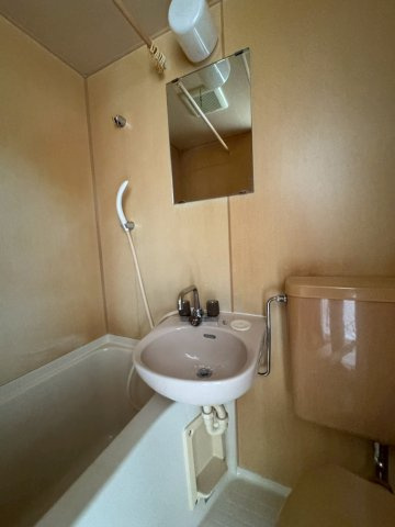 ドミール大田の洗面所