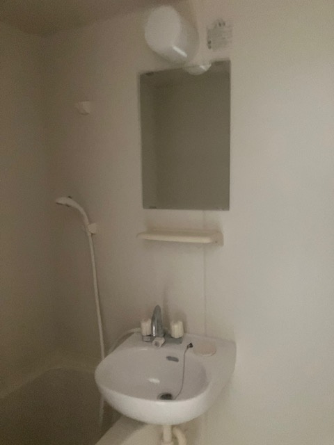 ポケットハウスの洗面所