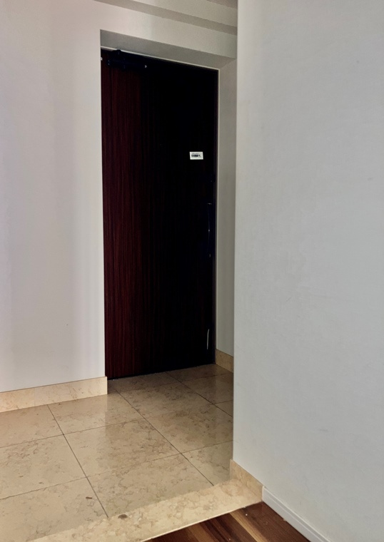 落ち着いた玄関です