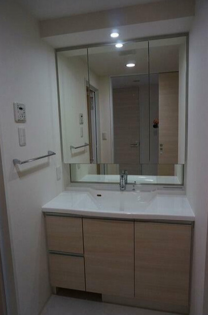 アンビエンテ駒込の洗面所