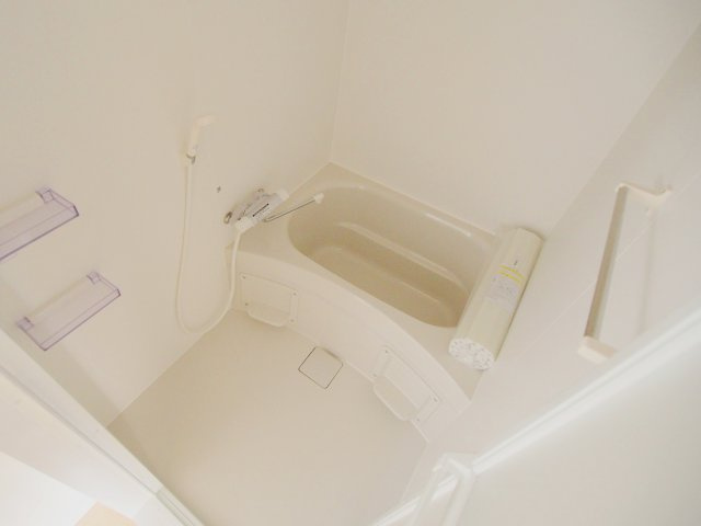 安芸郡海田町南幸町の賃貸マンションの浴室