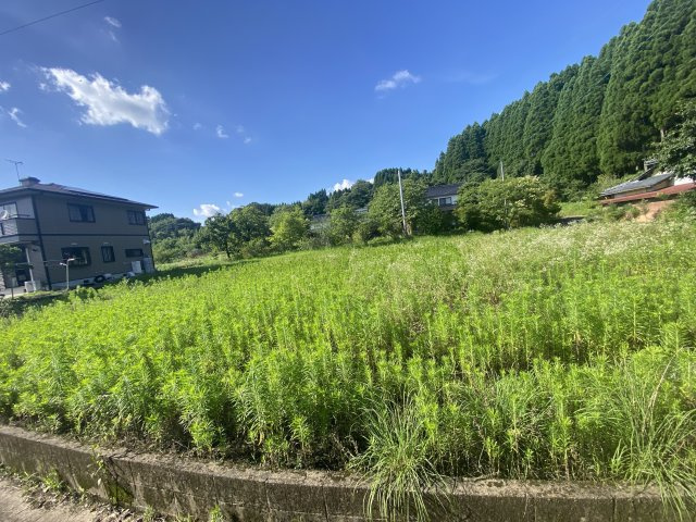 【外観】 | 和水町江田_土地（分筆②）