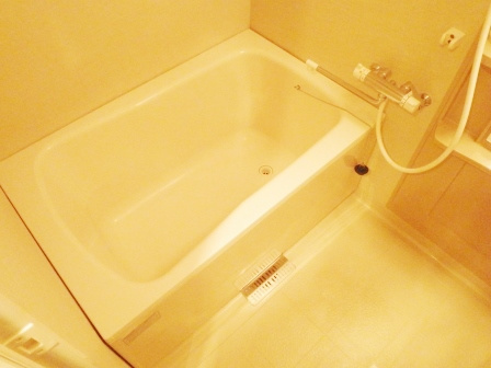 レニール本駒込の浴室