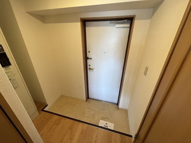 落ち着いた玄関です