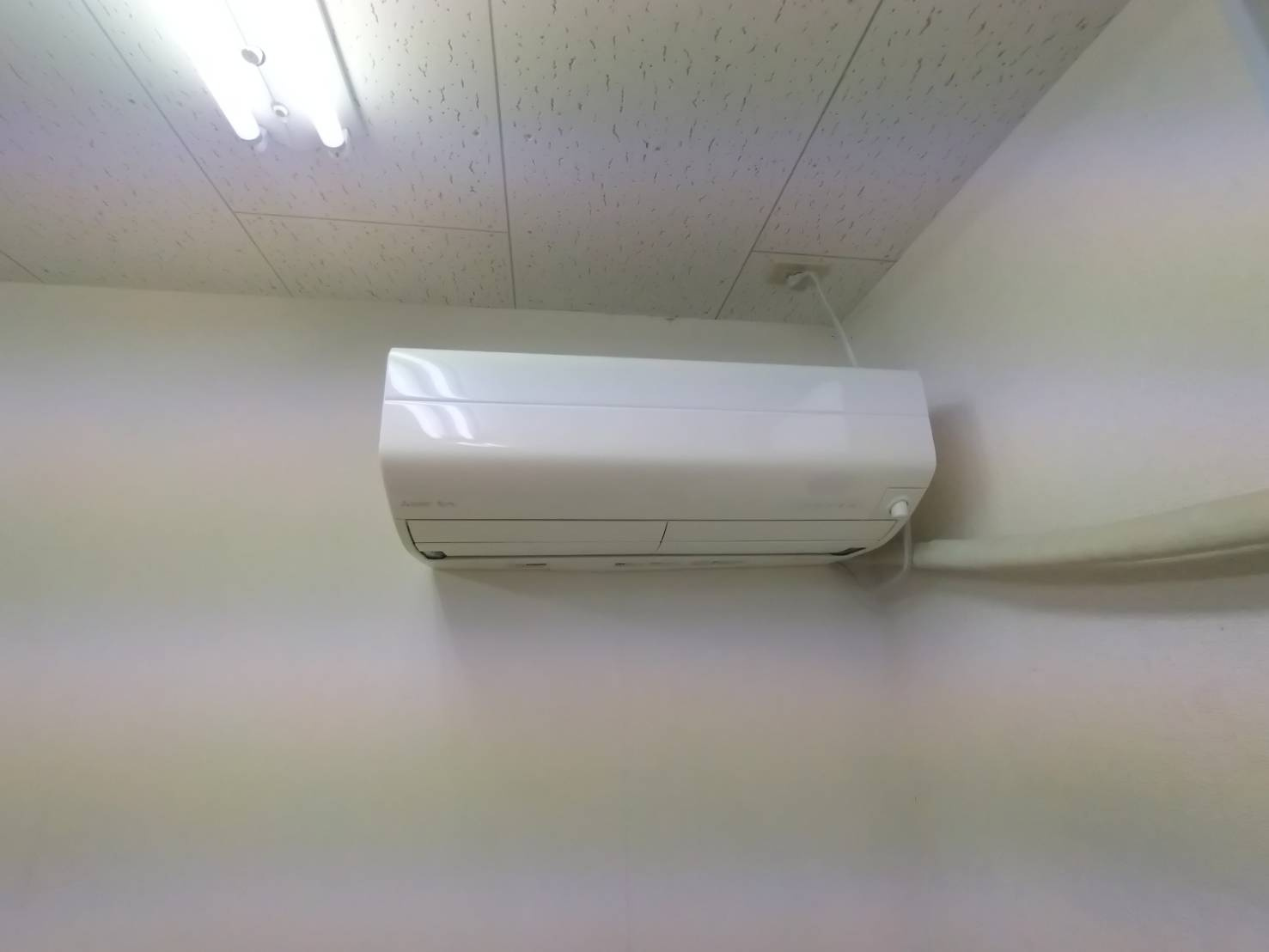 菱池地蔵堂 店舗のトイレ