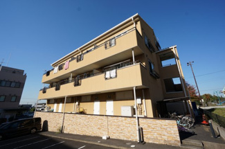 【その他】 | FORZA