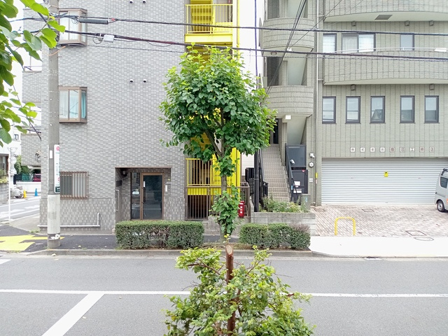 estrella常盤台の展望