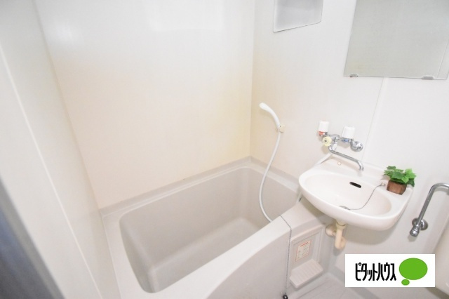 ミユキプレイス高崎下小鳥の洗面所