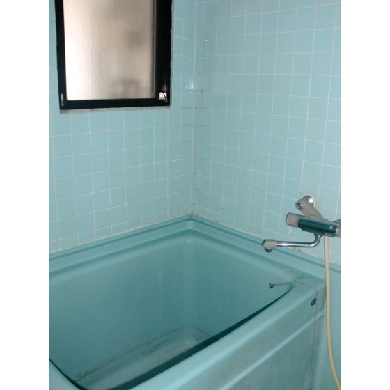 コーポ長良の浴室