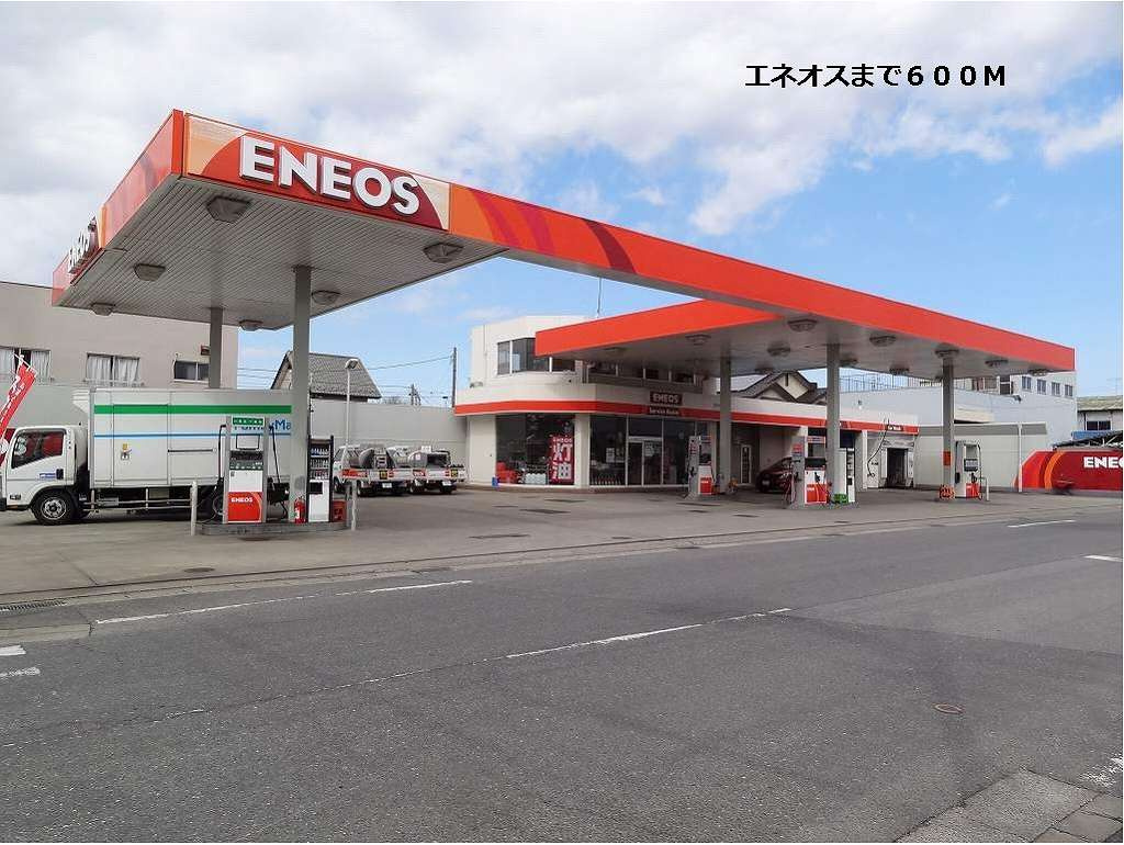 ミニョン　フルールのその他|その他