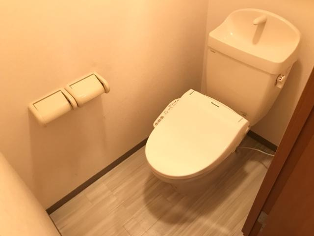 メゾン丸山のトイレ|シャワー付トイレ