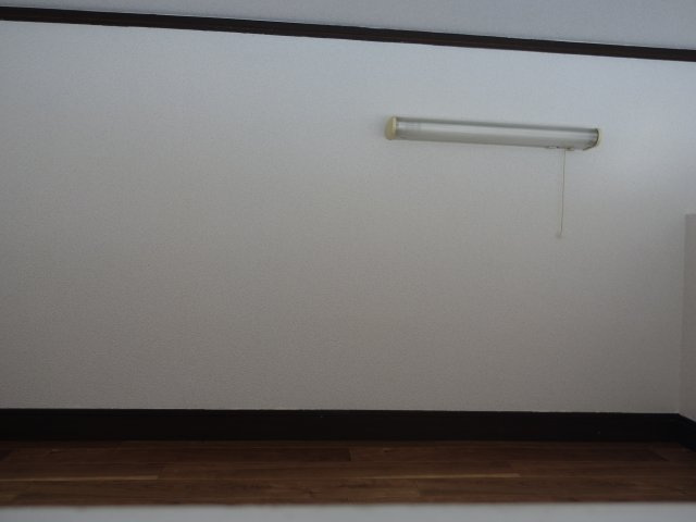 ぷちはいむめもるⅡのその他