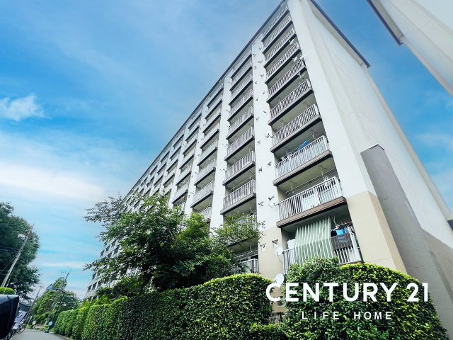 狛江ハイタウン３号棟の画像