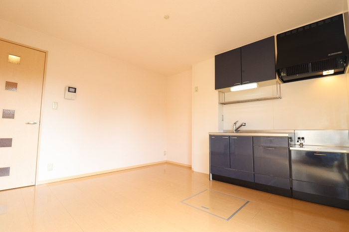 熊本市南区元三町２丁目のアパートの居間・リビング