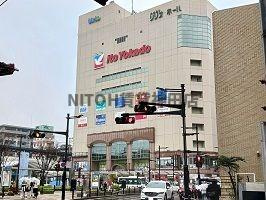 【その他】 | サンフラワー