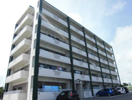 グレイスライフの画像