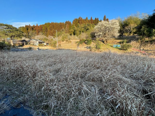 【外観】の画像