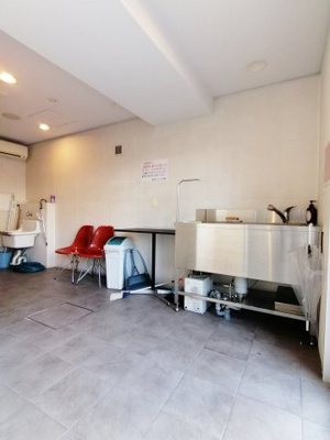 【その他共用部分】 | CITY SPIRE日本橋高津 | ペット専用トリマー室