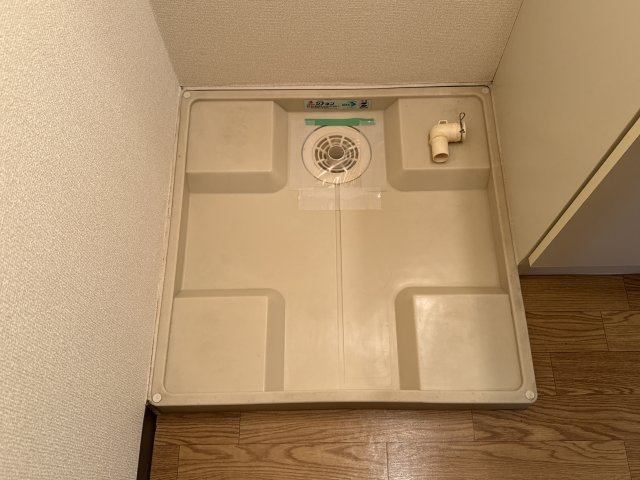 プリム　ローズのその他