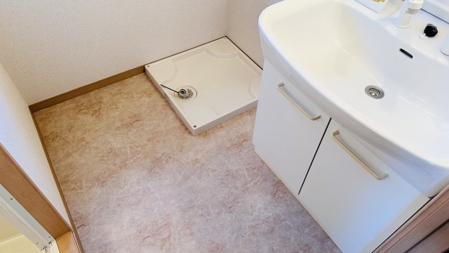 クレールコート堂庭の洗面所