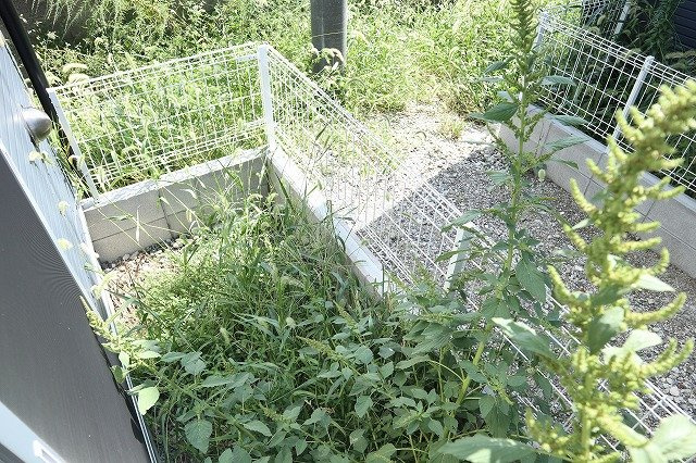 エクストリーム新在家B棟のバルコニー|バルコニーからの眺めを楽しみながら食事をしませんか