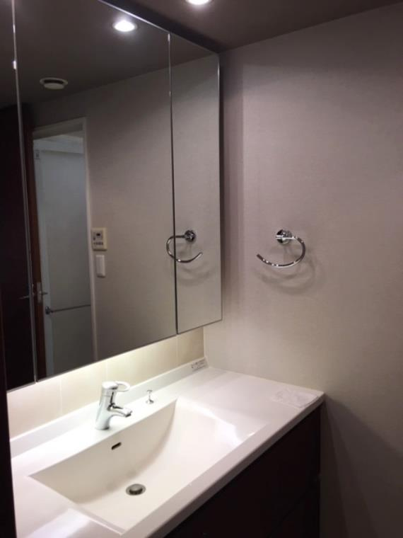 ヨコハマタワーリングスクエア　ザ・イーストの洗面所