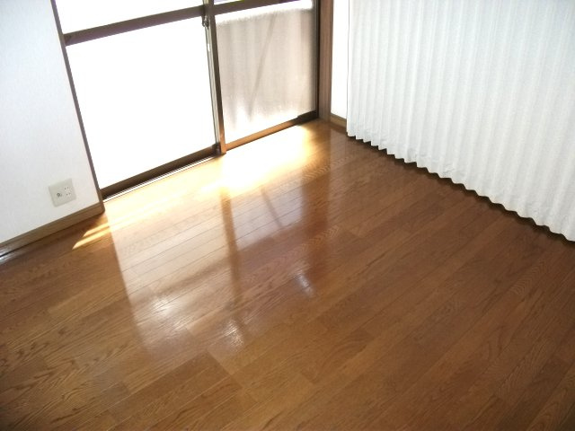 シャンセウエダのその他